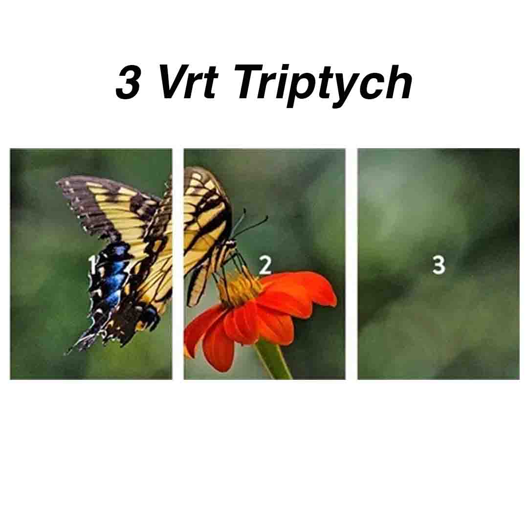 A Split Canvas -Single image on a triptych- Atlanta Canvas and Print