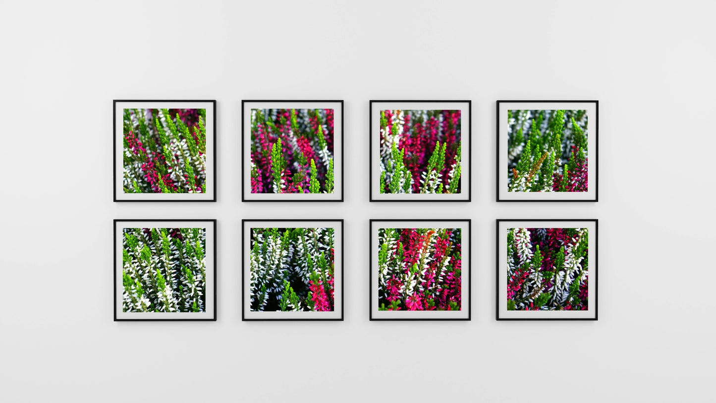 Glossy Paper - Atlanta Canvas and Print