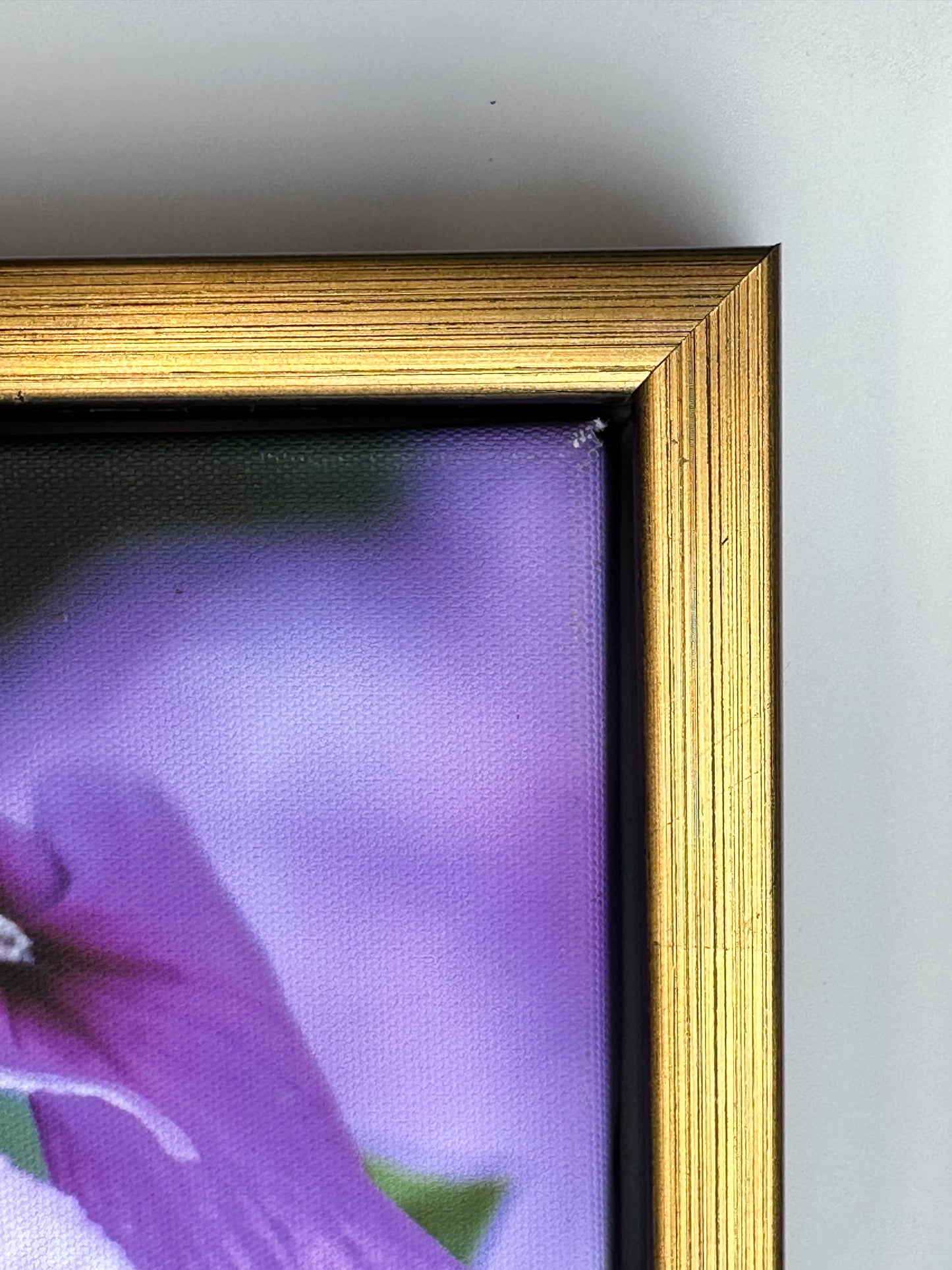 Solid Color Wood Floater Frames