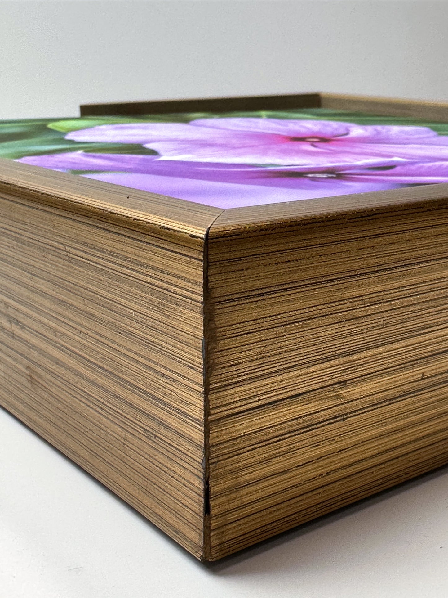 Solid Color Wood Floater Frames