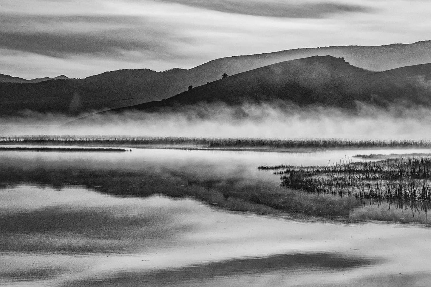 Have Robert Edit Your Picture -Shown in black and white - Atlanta Canvas and Print