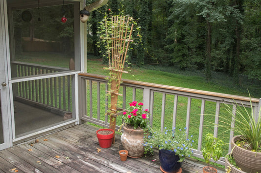 Simple trellis made for a Cardinal plant hoping to attract Hummingbirds for photography.